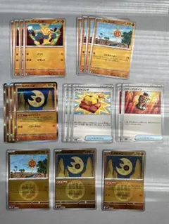 メガルカリオ デッキパーツ ルナトーン ソルロック ミラー まとめ売り