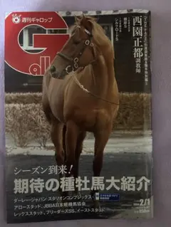 2026年最新】gallop 増刊の人気アイテム - メルカリ