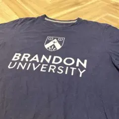 Item thumbnail for item c7d72e0c-0cf7-445e-bf24-d2d19683a380