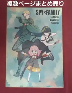 SPY×FAMILY スパイファミリー ビックサイズ色紙コレクション