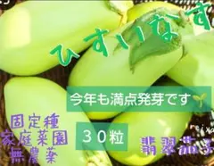 Ruby様 リクエスト 2点 まとめ商品
