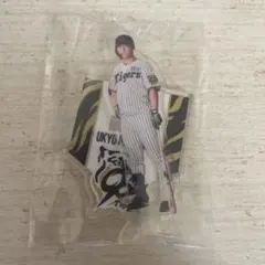 ウルフドッグス名古屋 市川健太 アクスタ ウルフドッグス名古屋 市川健太選手 アクリルスタンド - メルカリ