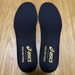 純正インソール トレーニングシューズ GOLDSTAGE 27.5cm