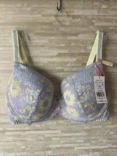 E80」トリンプ チャーミングラマー レトロポップ ブラジャー