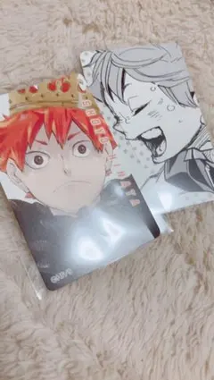 ハイキュー!! 日向翔陽 トレカ カード 誕生日グッズ