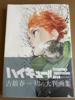 ハイキュー!! 画集　極　2冊セット　おまけあり