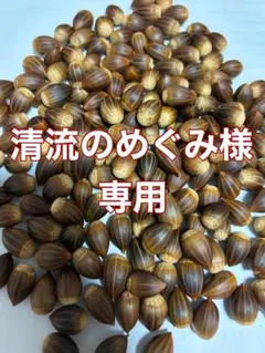 清流のめぐみ様　専用