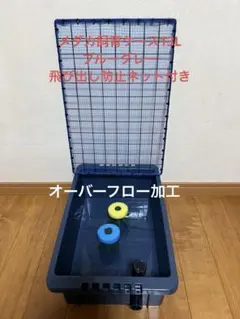 2026年最新】NV box 13 メダカの人気アイテム - メルカリ