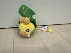 ポケモン クルミル MYポケモンコレクションぬいぐるみ