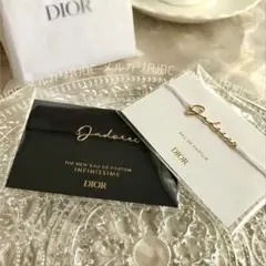 【未開封新品】ディオール マルチハードケース ボックス ポーチ ゴールド