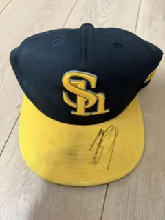 Item thumbnail for item e6d749b5-8a78-49f0-be88-e0a471003441