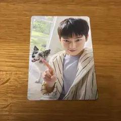 ENHYPEN アンケートトレカ ソヌ