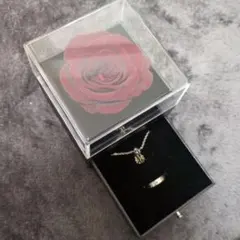 ローレン・イロアス リング にじさんじ 指輪 アクセサリー 箱あり