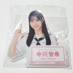中川智尋 櫻坂ローソンくじ アクスタ - メルカリ