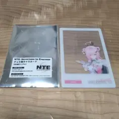NTE NEVERNESS TO EVERNESS CHIZ チェキ風カード