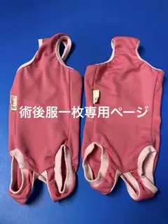 Item thumbnail for item c1b37bc3-501d-4e13-a7c6-970a8d197854