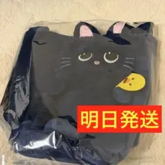 RIIZE POPUP ポップアップ グッズ ペンライト トレカ ウォンビン