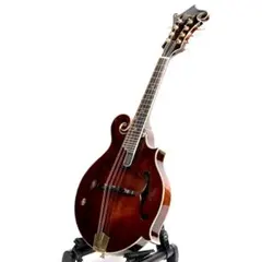 2026年最新】フラットマンドリンの人気アイテム - メルカリ