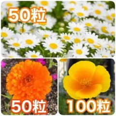 はなちゃん様 リクエスト 2点 まとめ商品