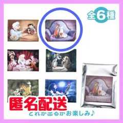 おしゃれキャット　ディズニーストア　シークレット　ポケットティッシュケース