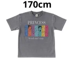 リトシー　フラップ　ディズニー　プリンセス　Tシャツ　170cm レディースML