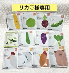 カインデスト　12個set