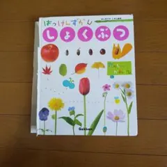 【最終値下】Gakken はっけんずかん・小学館　プレNEO 最終値下】Gakken はっけんずかん・小学館 プレNEO はっけんずかん｜Gakken
