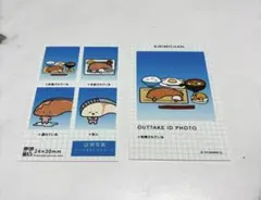 サンリオ　証明写真風スマロイド　きりみちゃん
