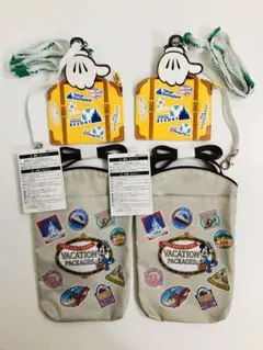 【ディズニー】バケーションパッケージ　　　　　　パスケース