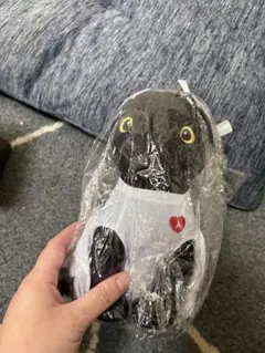 AOA公式 ぬいぐるみ