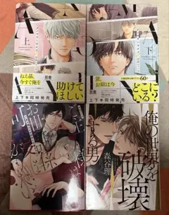 BL4冊まとめ売り