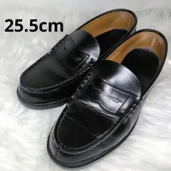 Item thumbnail for item c8f206e2-3e27-4e6c-ab9f-a96306eb276f