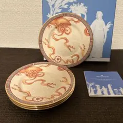 ❤️ 33mi様ウェッジウッド　ダイナスティ新品未使用　廃盤品　ボウルプレート2枚 在庫限り】 ウェッジウッドの廃盤アイテム特集 | ブランド洋食器