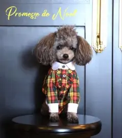 2025年最新】アトリエgg 21の人気アイテム - メルカリ