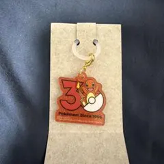 포켓몬 30周年ロゴマスコット 파이리