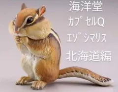 カプセルQ 北海道編 エゾシマリス 未開封品 海洋堂のサムネイル