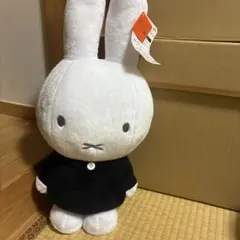 Item thumbnail for item 62483c12-83a2-4d47-8696-985a8365ff68