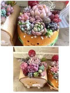 ご専用　　ハンバーガー♡食パン♡多肉植物寄せ植え♡そのまま飾れる