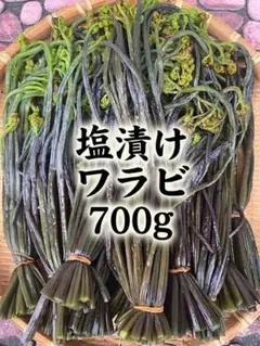 塩漬けワラビ 700gアク抜き済　北海道産山菜野菜のサムネイル