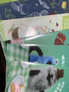 スンスンファイル全５種類