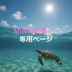 MINAMI様リクエスト 2点 まとめ商品