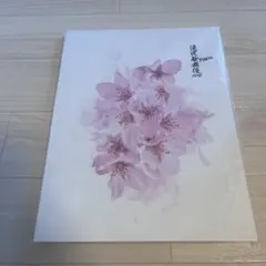 2026年最新】滝沢歌舞伎 パンフレット finalの人気アイテム - メルカリ