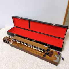 2025年最新】大正琴 もみじの人気アイテム - メルカリ