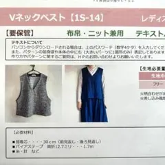 フーレイパターン Vネックベスト (1S-14) フリーサイズ