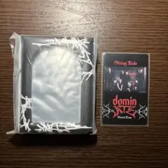 straykids スキズ dominATE JAPAN フォトカードケースのサムネイル