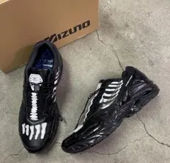 新品 mizuno ミズノ WAVE RIDER 10 SBTG 29cmコラボ - メルカリ