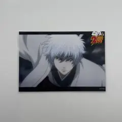 銀魂　白夜叉　ブロマイド