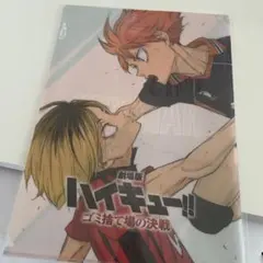 ふ*う様 ハイキュー‼︎ ファイル