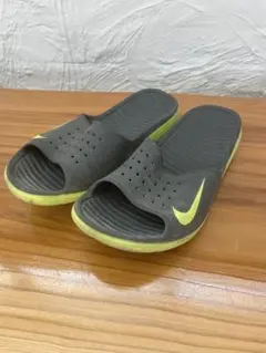 Item thumbnail for item 610b2654-3c19-4992-9f7b-8a1bdefb5d20