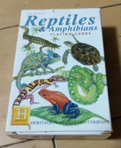 2026年最新】reptile & amphibianの人気アイテム - メルカリ